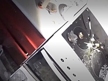 В Новосибирске собака случайно устроила взрыв в квартире