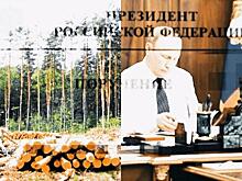 Эксперт «Гринпис» Михаил Крейндлин дал оценку предложениям президента по защите российских лесов