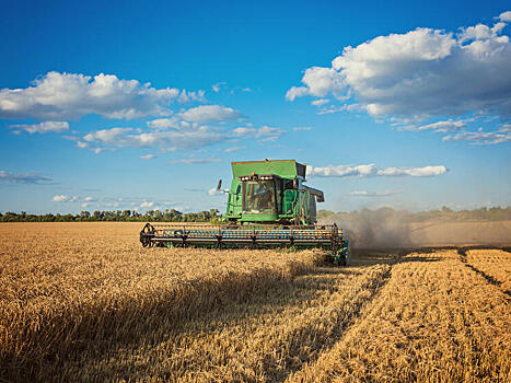 В Новосибирской области возобновилась уборка урожая, приостановленная на время снегопада