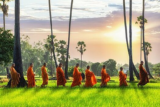 Всех монахов выгнали из храма из-за пристрастия к наркотикам