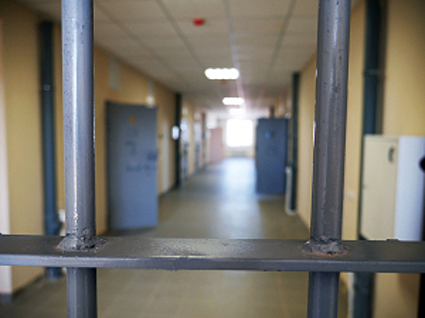 В Челябинской области полицейские раскрыли схему хищения бюджетных средств, выделенных в виде социальной помощи самозанятым