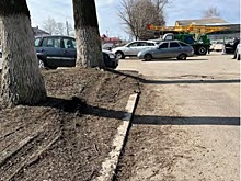 В Курской области назвали устаревшим озеленение общественных пространств