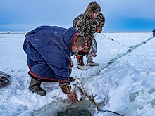 Ямал подтвердил свою экономическую устойчивость