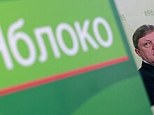 "Яблоко" отчиталось о депутатах, которые участвуют или руководят фирмами