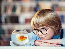 Эксперт Шеляков: для живых уголков в школах понадобится специалист