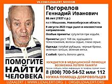 Дедушку в зеленой кепке третий день ищут в Мошково под Новосибирском