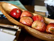 Самые полезные продукты для микрофлоры кишечника