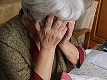 С начала года в Череповце зарегистрировано три случая продажи квартир по подсказке мошенников
