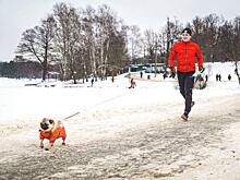 Новогодний пробег прошел сегодня в Подмосковье