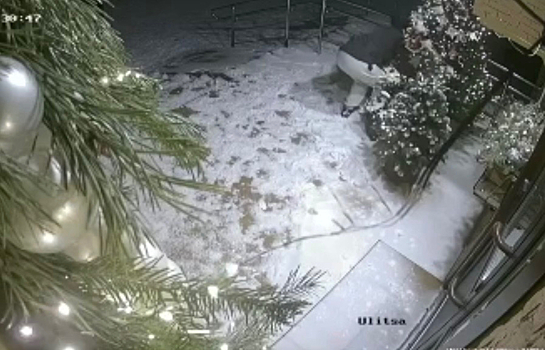 Вандалы из Осинников испортили Рождество в пекарне