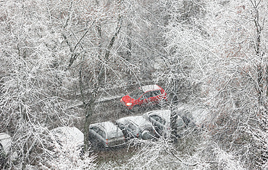 За ошибочные штрафы предложили давать месяц бесплатной парковки