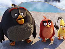 Фильм «Angry Birds в кино 3» запустили в производство: первый тизер