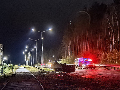 В Циолковском легковушка снесла несколько опор освещения
