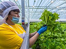 Новосибирским предпринимателям выдано 9 млрд рублей льготных кредитов