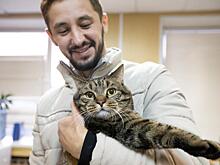 Крупный чиновник из Москвы встретится с толстым котом Виктором из Владивостока
