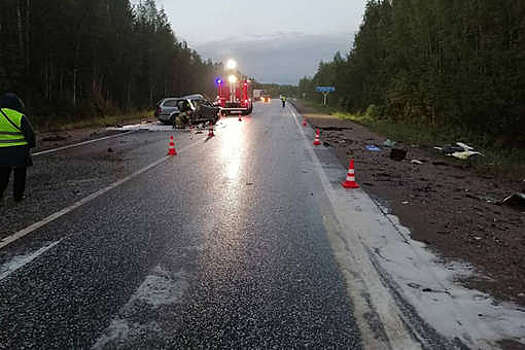 В Свердловской области лишенный прав водитель Skoda устроил ДТП с четырьмя погибшими