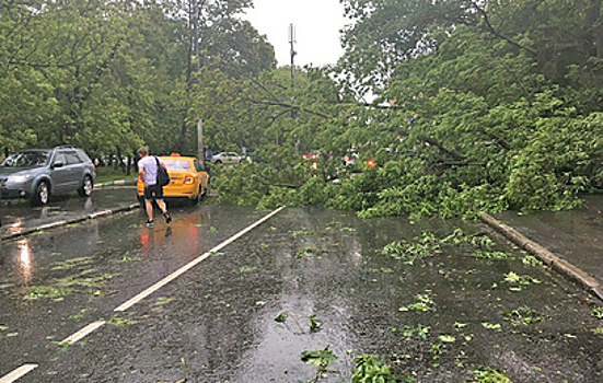 В Пермском крае туристы стали свидетелями мощнейшего урагана