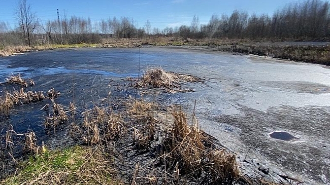 Более 2,6 млн намерен взыскать Росприроднадзор за загрязнение почвы в Кстово