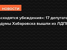 «Расходятся убеждения»: 17 депутатов гордумы Хабаровска вышли из ЛДПР
