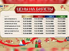 Перекупщиков билетов на матчи ЧМ-2018 накажут штрафами до 1,5 миллионов рублей