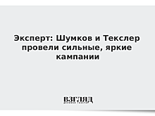 Эксперт: Шумков и Текслер провели сильные, яркие кампании