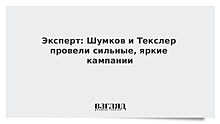 Эксперт: Шумков и Текслер провели сильные, яркие кампании