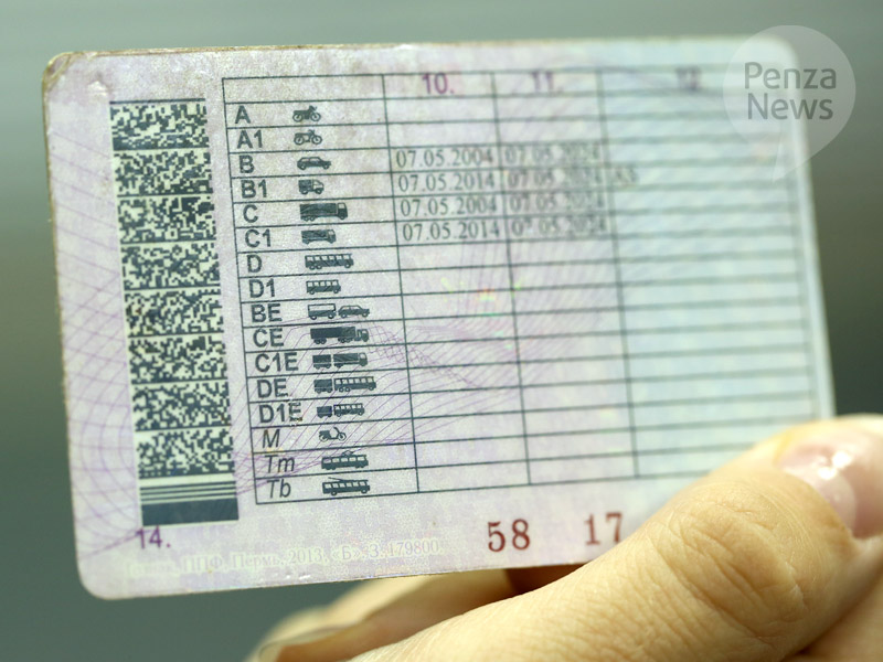 В отношении пензенца, предъявившего поддельное водительское удостоверение, возбуждено дело