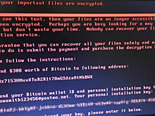 В Ливнах несколько предприятий пострадали от атаки вируса Petya