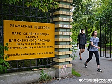 Активисты призвали открыть доступ на кладбище в Зеленой Роще