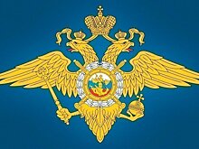 Двоих мужчин задержали за помощь мошенникам в обмане 19-летнего москвича на 1 млн руб.