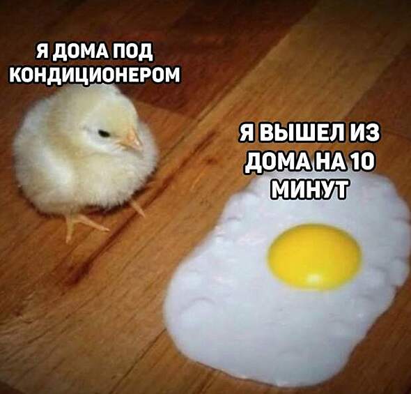 И смешно, и грустно...