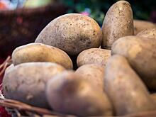 Картофельная индустрия 2020