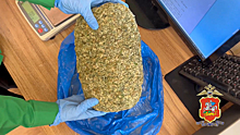Подмосковные полицейские изъяли у 22-летнего наркокурьера полкилограмма марихуаны