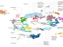 Искусственный интеллект — трижды чемпион мира: «Ростелеком» представил пятый ежегодный мониторинг трендов цифровизации