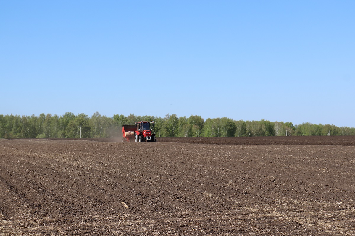 Аграрии Новосибирской области засеяли 25% от запланированных площадей