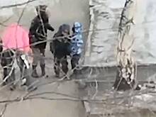 В России воспитательница ударила мальчика ногой по голове за отказ возвращаться с прогулки