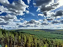 В Самарской области на памятниках природы с мая ввели режим охраны