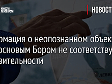 Власти Ленинградской области опровергли данные о неопознанном объекте над Сосновым Бором