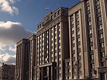 В Госдуме оценили слова Киева о новом наступлении фразой «сами себя успокаивают»