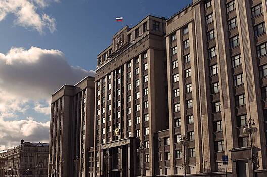 В Госдуме оценили слова Киева о новом наступлении фразой «сами себя успокаивают»