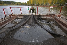 Изменение климата сказалось на стратегии зарыбления уральских водоемов