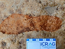 В Шотландии обнаружены 2000-летние отпечатки ног людей