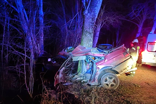 Под Калининградом водитель врезался в придорожное дерево, погибли два человека