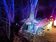 Под Калининградом водитель врезался в придорожное дерево, погибли два человека