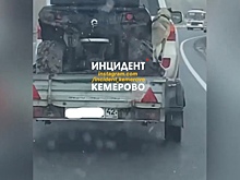 Опасный способ перевозки собаки возмутил кузбассовцев