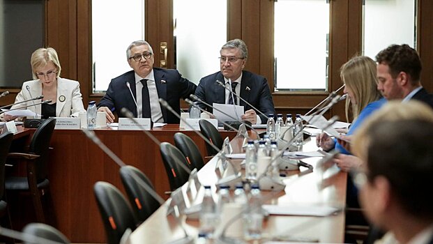 В Государственной Думе обсудили реализацию закона о производственных аптеках