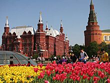 Вильфанд пообещал москвичам теплые выходные