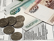 В Госдуме оценили идею простить долги по ЖКУ части россиян