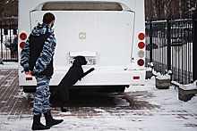 Свыше шести килограммов наркотиков изъяли нижегородские транспортные полицейские