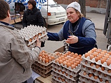 За I квартал 2025 года лидером по производству яиц осталась Ленинградская область